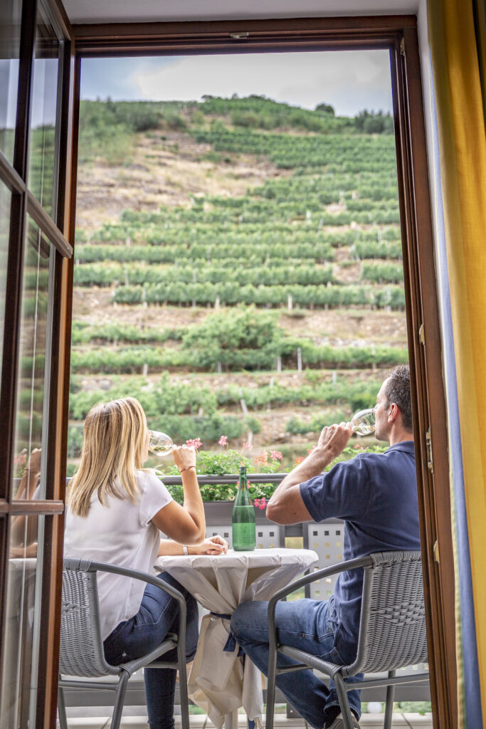 Haus-Oestreicher-Fensterblick